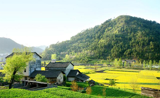 生態(tài)建筑設計模式介紹